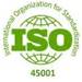 ISO Logo 4